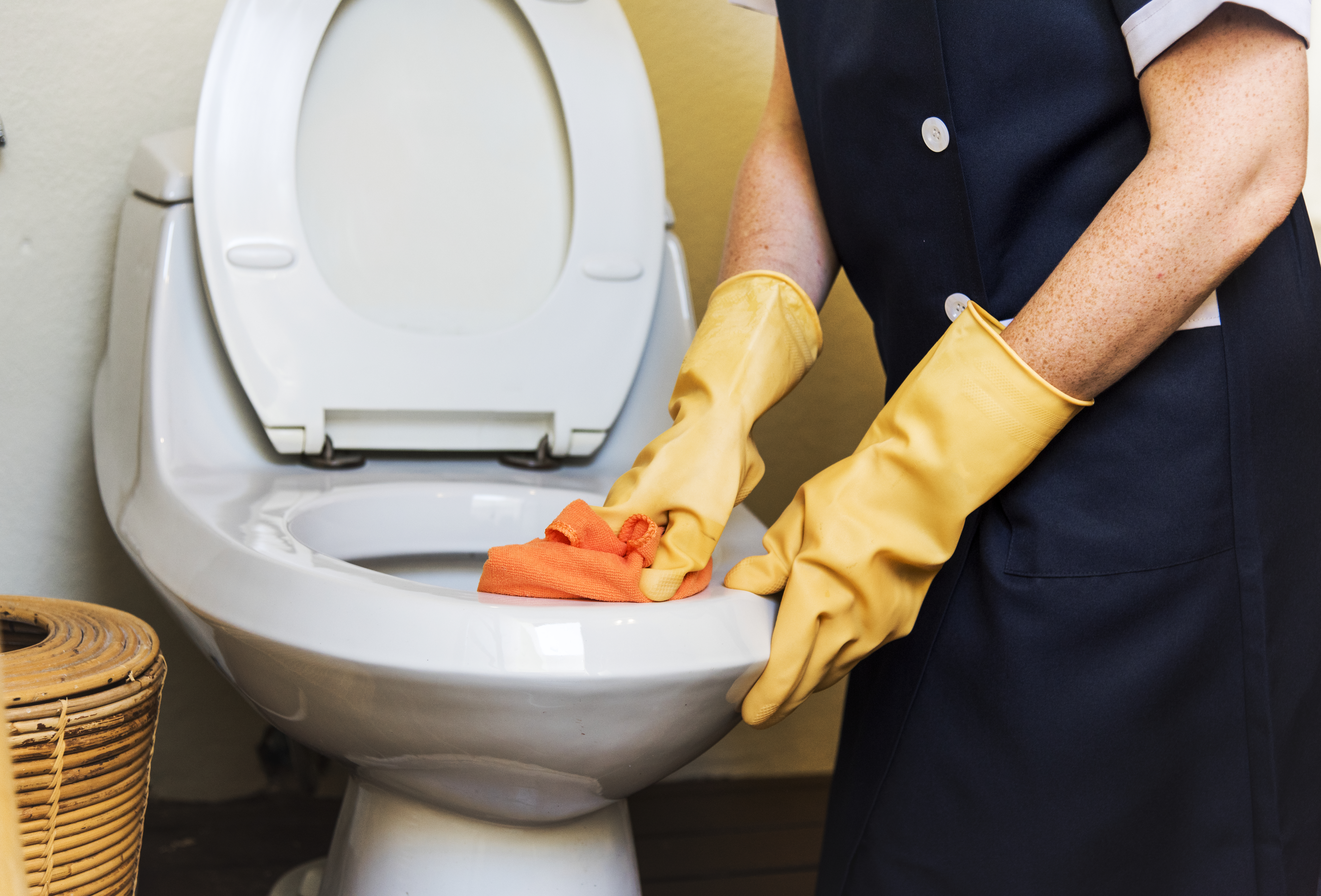 Gloved hand scrubbing the rim of a toilet