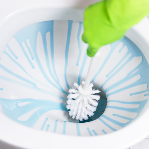 How to Clean a Toilet: A Simple Guide